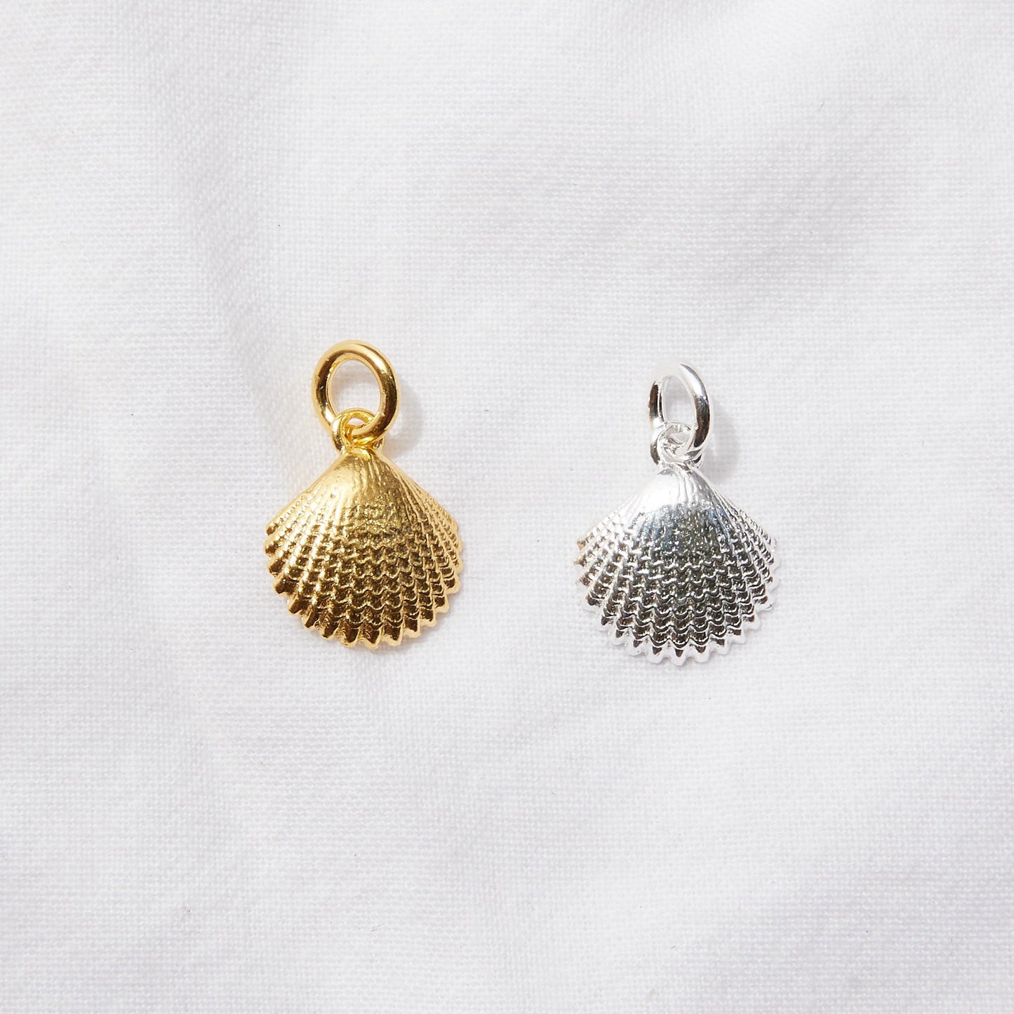 Seashell pendant
