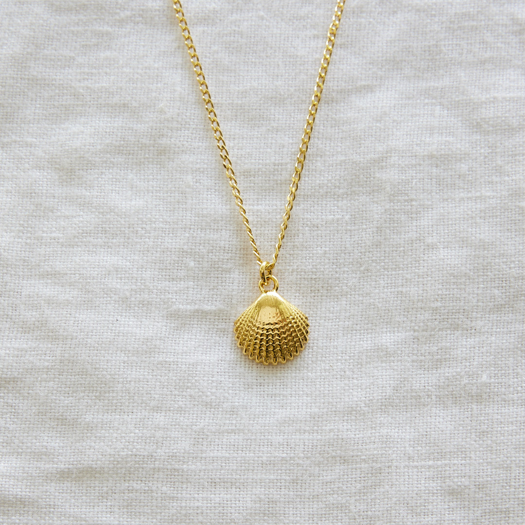 Coquillage sur Collier Plaqué Or 24k