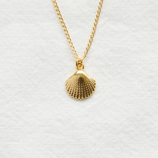 Coquillage sur Collier Plaqué Or 24k