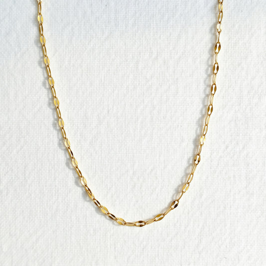Dainty Chain Necklace
